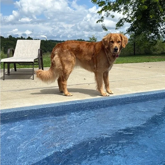 Back to the mornings my friends! Coffee/tea/water and me! - Picture 7 of 15